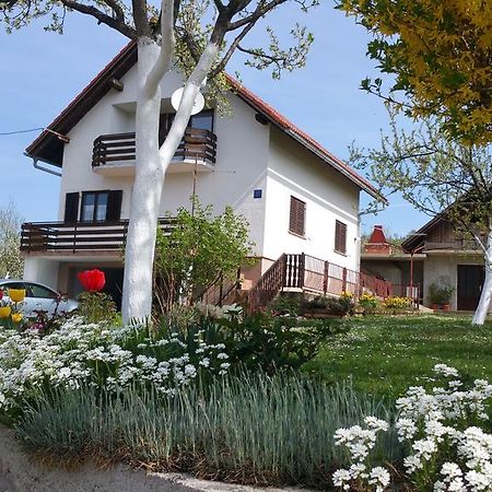 Apartment Ankica Seliste Dreznicko Luaran gambar
