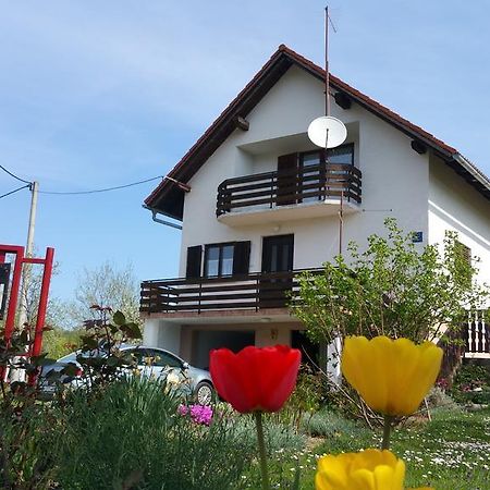 Apartment Ankica Seliste Dreznicko Luaran gambar