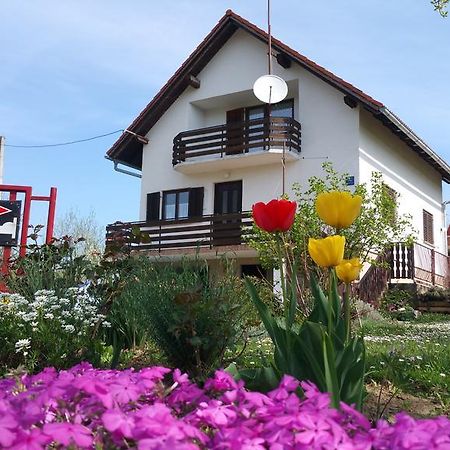 Apartment Ankica Seliste Dreznicko Luaran gambar