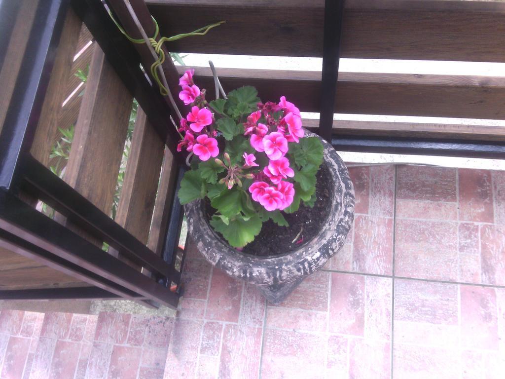Apartment Ankica Seliste Dreznicko Bilik gambar