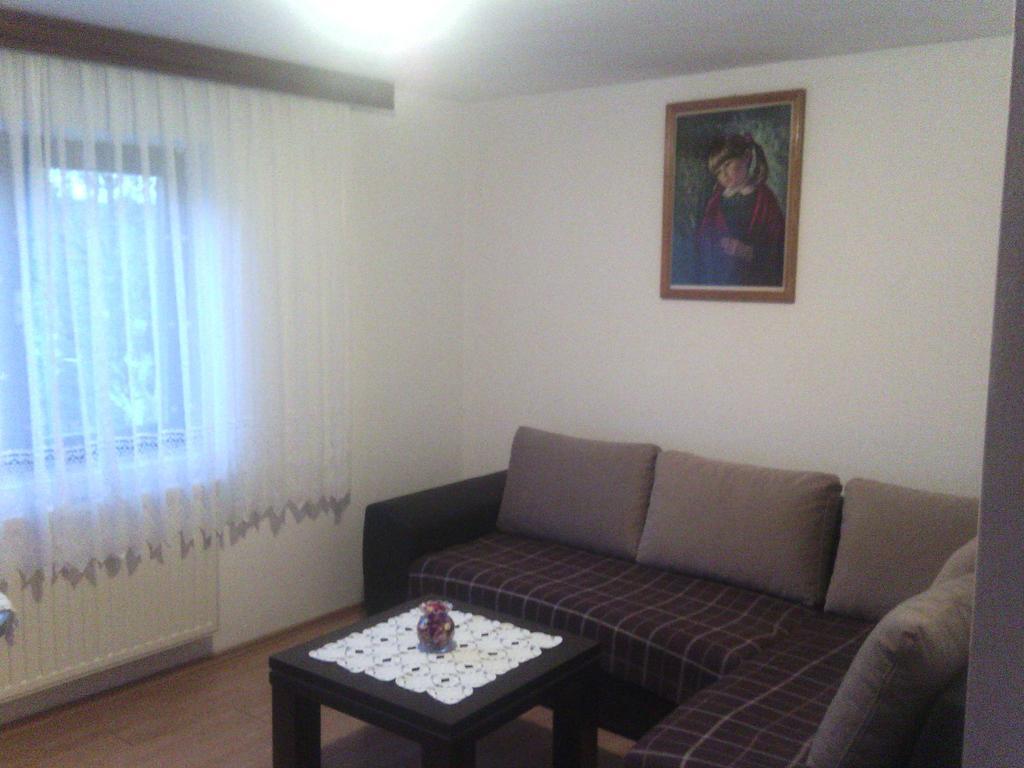 Apartment Ankica Seliste Dreznicko Bilik gambar