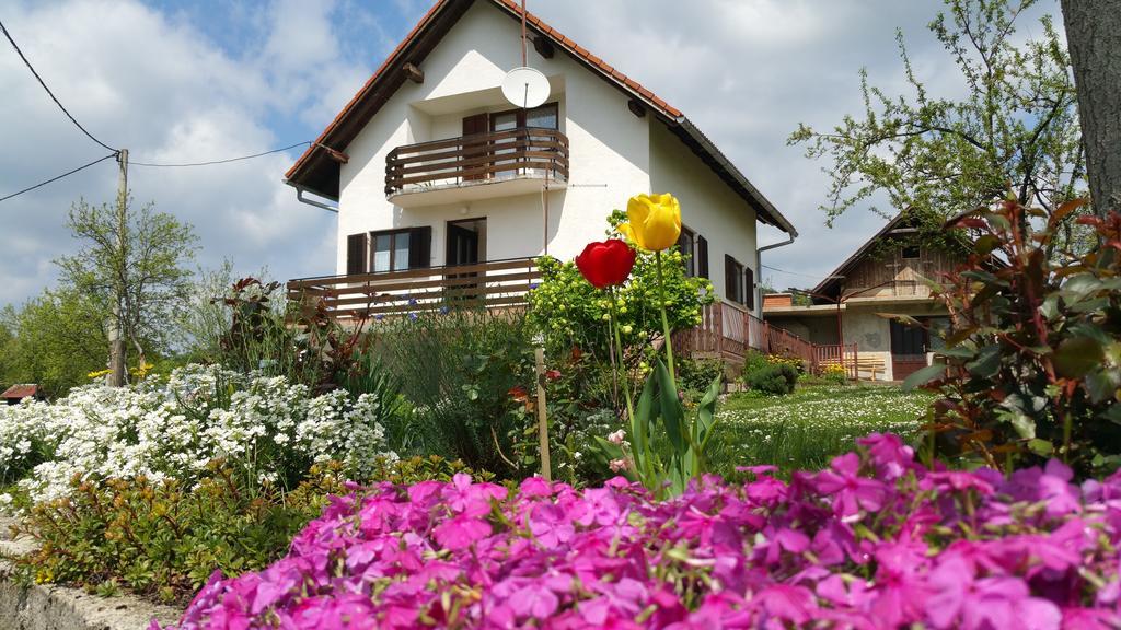 Apartment Ankica Seliste Dreznicko Luaran gambar