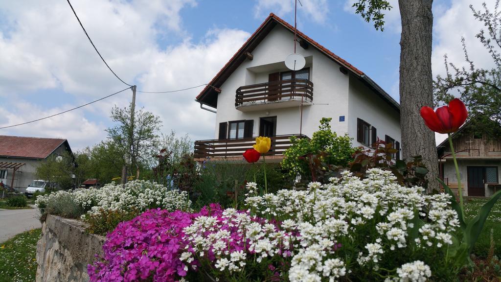 Apartment Ankica Seliste Dreznicko Luaran gambar