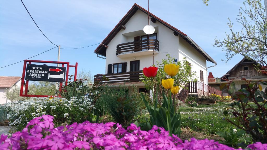 Apartment Ankica Seliste Dreznicko Luaran gambar