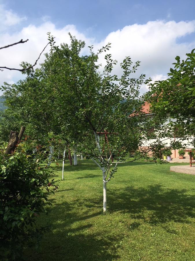 Apartment Ankica Seliste Dreznicko Luaran gambar