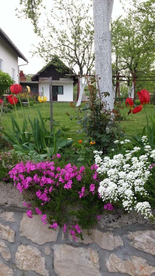 Apartment Ankica Seliste Dreznicko Luaran gambar