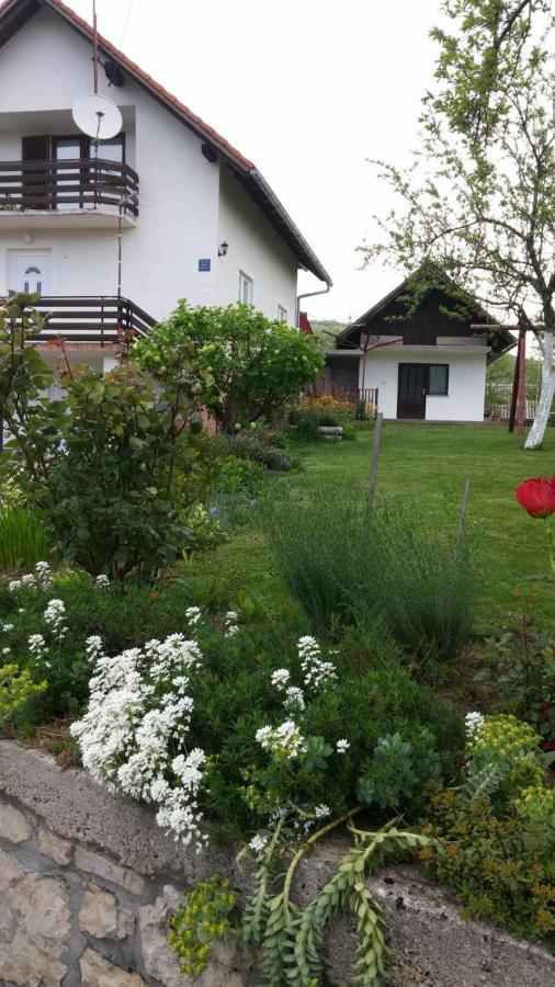 Apartment Ankica Seliste Dreznicko Luaran gambar