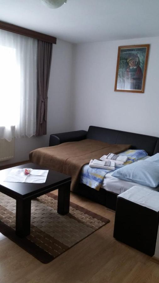 Apartment Ankica Seliste Dreznicko Luaran gambar
